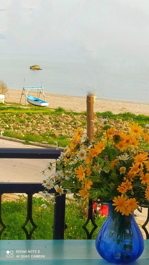 Апартаменти Socrates Sea View Kampos Marathokampou Екстер'єр фото